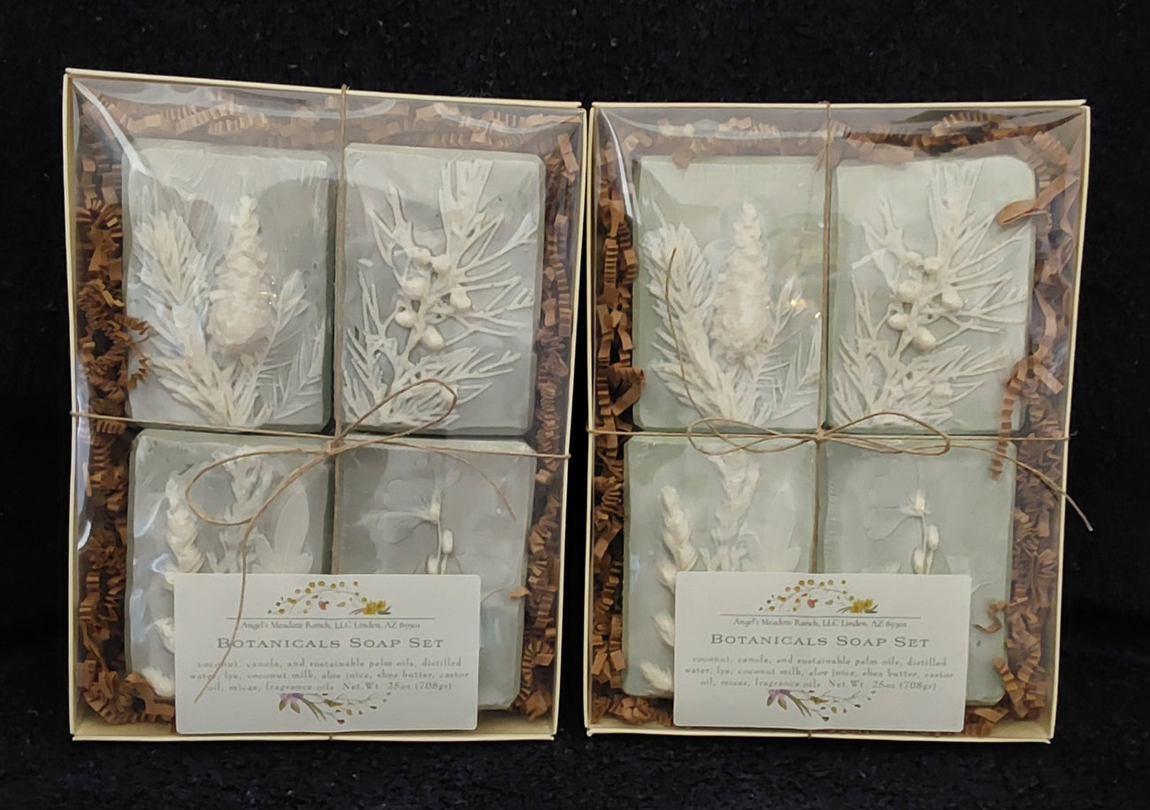 [Botanical_soap_set_4_soaps_pale_green_embossed_white_shea_butter_fragranced_frasier_fir_and_calla_lily]